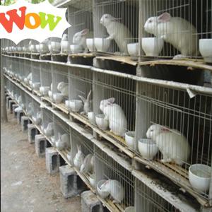  Recherche De Partenariats - animaux vivants bonjour chers investisseurs !--je suis un jeune entrepreneur togolais dans le secteur de l'élevage de lapin que j'ai débuté il y'a que 2ans de cela en côte d'ivoire précisément à abidjan. pour le moment j'ai un espace avec laquelle je voudrais produire