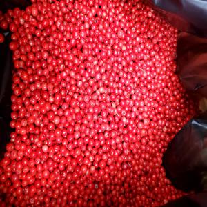  Baies Roses Et Piment Pili-pili - épices aromates nous disposons du baie rose de 2000kg,  bien trié et produits déjà traité(traitement thermique). baie rose- 11€/kg prix caf----le piment pili-pili est aussi disponible,  avec une quantité de 250kg,  c'est un produit bien trié et traité. piment pili-pili-