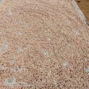  Poivre Blanc Et Noir De Penja - épices aromates  &agrave; tous. je dispose de grande quantit&eacute; de poivre blanc de penja avec possibilit&eacute; d'exp&eacute;dier partout via dhl poivre blanc de penja 30 /kg les prix ci dessus sont pour une livraison partout en france via dhl. et le minimum de commande doit etre 10kg pour des