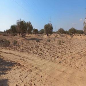  Un Terrain Vendre Tunis Djerba Chbebiya - mine terrain concession   un terrain à vendre à djerba,  à moins de 1 km de la mer et de la zone touristique. --le métrage 5200 m²--le prix au mètre est de 65 dinars--les papiers de propriété sont une preuve légale--