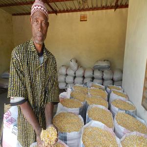  Soja Bio Du Togo - céréales nous disposons d'une grande production de soja bio que nous mettons en vente les exp&eacute;ditions sont possibles.. nous disposons de 8 tonnes en magasin. le prix varie selon le prix du march&eacute; au kilogramme.