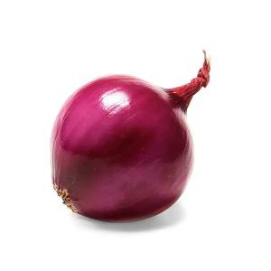  Onion Rouge - fruits et légumes  . je recherche un conteneur de 40 pieds 10 conteneurs chaque mois (r&eacute;frig&eacute;rateur) taille 50 mm &agrave; 60 mm type d'emballage red mesh 25 kg chacun. mode de paiement dp port  port de colombo au sri lanka combien de jours cela pourrait il prendre pour atteindre