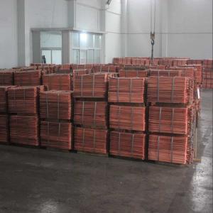  Fournisseur Cuivre - métaux cathode de cuivre disponible | russie en cif uniquement quantit&eacute; min 500 mt quantit&eacute; max 10000 mt/mois pas de spot deal uniquement contrat annuel prix lme 16% important contactez moi uniquement si vous souhaitez agir rapidement. cif uniquement 