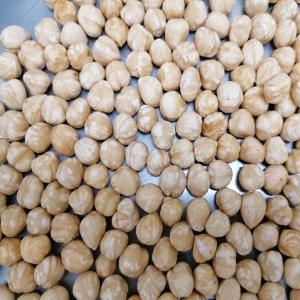  Noisettes Hazelnuts 11-13 // 13-15 - fruits secs et graines grillées nous sommes producteur - grossiste tout gendre de produits a la base de noisettes. --noisettes decortiques de different calibres,  grilles,  tranches ,  poudre ,  pasta etc.--on propose noisettes des nos propres usines situe en azerbaidjan,  en turquie et en georgie. --on peut livrer dans tout l`europe l