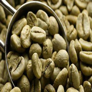  Importateur De Café Vert En Grains - café cacao thé  une st&eacute; francaise nous travaillons directement avec les producteurs de caf&eacute; arabica dans l'afrique d'ouest (issu du plateau de mambilla) et nous pourrions vous proposer des grains de caf&eacute; vert de tr&egrave;s bonne qualit&eacute;. nous sommes &eacute;galement flexibles