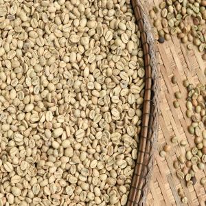  Importateur De Café Vert En Grains - café cacao thé  une st&eacute; francaise nous travaillons directement avec les producteurs de caf&eacute; arabica dans l'afrique d'ouest (issu du plateau de mambilla) et nous pourrions vous proposer des grains de caf&eacute; vert de tr&egrave;s bonne qualit&eacute;. nous sommes &eacute;galement flexibles