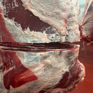  Viande-carcasse Certifiée - viandes et oeufs commercialisation viandes-carcasses avec certifications issus de nos propres fermes familiales sises en espagne--- carcasse bœuf ---poids +/- 340-380kg--*prix selon quantité pays et/ou port de livraison---carcasse agneau ---poids +/- 17-22kg--+/- 13-16kg--*prix selon quantité pay