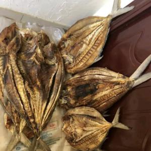  Poisson Séché - poissons poisson s&eacute;ch&eacute; de bonne qualit&eacute; cuit dans un s&eacute;choir ! nous pouvons vous fournir en grande quantit&eacute; 