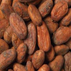  Agriculteur Au Cameroun: Cacao; Café; Poivre Igp - café cacao thé notre entreprise basée en france,  mène des activités agricoles au cameroun ou nous avons des plantations de cacao. nous menons également des activités agricoles dans le café arabica et le poivre de penja(igp)--pour toute entreprise en europe intéress&
