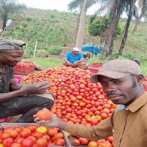  Agricultural Operations - industry operating looking for partners to work together--agricultural operations--we societe agricocole de congo centrale,  we are actively looking for partners to work together in our agricultural operation in the areas of market gardening,  food crops and livestock.--our agricultural land is located in the democratic
