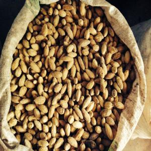  Noyaux De Balanites Aegytiaca Disponibles - fruits secs et graines grillées bonjour,  nous avons à notre disposition 50 tonnes de noyaux de balanites aegytiaca(dattier du desert) depuis le burkina,  nous recherchons des clients pour achats.--280f/kg soit 14 000f le sac de 50kg,  280 000f/  la tonne--contactez nous maintenant pour discuter des conditions d'achat et final