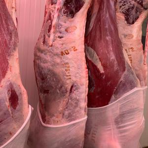  Viande-carcasse Certifiée - viandes et oeufs  viande carcasse certifi&eacute;e halal destination/europe afrique du nord carcasse b&oelig;uf pinto holstein d espagne poids 180 250kg carcasse b&oelig;uf charolais limousin poids 340 380kg je reste &agrave; votre disposition pour tout renseignement cordialement 