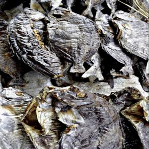  Poisson Séché - poissons poisson s&eacute;ch&eacute; (100%)  s&eacute;chage au machine sans produits chimiques ! suivant les normes sanitaire ! disponibles en grandes quantit&eacute;s ! exportation dans tout pays 