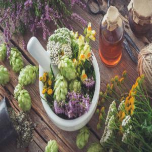  Ingrédients Naturels, Produits De Santé - matiere vegetale fier d'annoncer sa nouvelle offre d'ingrédients naturels pour les entreprises pharmaceutiques,  nutraceutiques et de médecine alternative. nous sommes votre partenaire de confiance pour vous fournir des ingrédients de haute qualité,  issus de la nature et répondant a