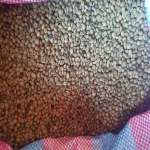  Café Robusta Togo - café cacao thé bonjour nous disposons de graines de café robusta cultivé de façon biologique et traditionnel nous recherchons des clients sérieux pour un contrat à long terme 