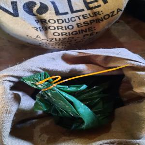  Café Lave Geisha Típica Caturra Catuai Rouge - café cacao thé producteur de caf&eacute; au p&eacute;rou . microlots vari&eacute;t&eacute; geisha típica caturra et catuai rouge score sca 86+ r&eacute;colte 2023 stock&eacute; en france depuis d&eacute;cembre 