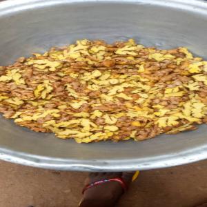  Gingembre Jaune - fruits et légumes bonjour, -- nous disposons actuellement de plus de 4000 tonnes de gingembre jaune et nous recherchons des acheteurs ,  clients ou partenaires pour pouvoir les exporter partout.--nous sommes au togo