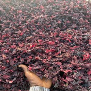  Piment De Guinée - épices aromates nous disposons d'important quantit&eacute; de piment de guin&eacute;e clou de girofle petit cola hibiscus acheteur client n&eacute;gociant pour un partenariat gagnant gagnant sur le long terme. 