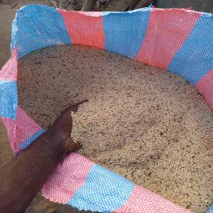  Vente - fruits secs et graines grillées je cherche partenaire ,  acheteur en gros de produits ( soja,  noix de cajou sésame bigarrée blanche noir ) et bien d'autres produits tropicaux à la demande du client,  je dispose aussi de l'huile de soja raffiné et tourteau  de soja. je suis disposé à travaill