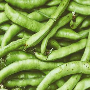  Courgettes, Artichaut Gras, Brocoli Espagne - fruits et légumes bonjour,  nous sommes une entreprise qui recherche des clients pour leur proposer les produits suivants de murcie (espagne) - courgettes,  artichaut gras,  brocoli. merci