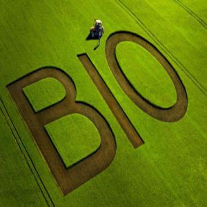  Huile Essentielle Lavande Bio - huiles 1 ton de lavande bio d'excellente qualité 100 % pure et naturel . analyses + certificat bio + analyses pesticides sur demande . prix 65 € exw bulgarie--- 65€--- 1000 kg
