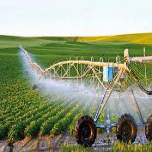  Projets Agricoles - autres bienvenuepour ceux qui veulent investir dans l'agriculture en alg&eacute;rie j'ai plusieurs offres attractives dans tout le payset des usines &agrave; vendredes terres agricoles contenant des puits fraisdes arbres fruitiers avec de bons rendements des raisins des grenades et des ora