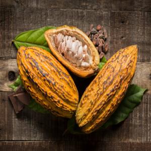  Feve De Cacao Et Grain De Cafe - café cacao thé nous sommes une entreprise de distribution de cacao et café produit en afrique. ----nous disposons du cacao sous plusieurs variantes- ----- fèves de cacao bien sec----- poudre de cacao naturelle ----- poudre de cacao alcalisé ----- beurre de charité ----- café robu