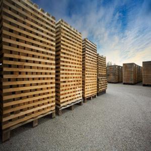  Merrain En Chêne Vert Européen Grain Fin - bois charbon fibre la pologne dot&eacute;e de son climat aride octroie au chene l'opportunit&eacute; de s'&eacute;panouir lentement lui conf&eacute;rant ainsi une densit&eacute; substantielle et une finesse de grain distinctive. avec des merrain provenant de chene polonais nous souhaitons offrir non seulement de