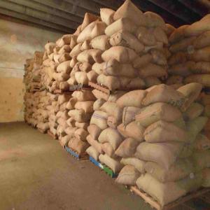  Recherche D'acheteurs De Cajou Brut - semence graine plant nous recherchons d'acheteurs directs de cajou brut. origine - b&eacute;nin,  r&eacute;colte - 2024,  kor - 47+. possibilit&eacute; de livraison fob port de lom&eacute; ou c&f ou cif n'importe quelle destination.