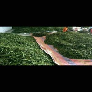  Client Pour La Vanille Bourbon De Madagascar - épices aromates je cherche des clients pour acheter la vanille bourbon de madagascar a un prix tres competitive et la meilleur qualite.--