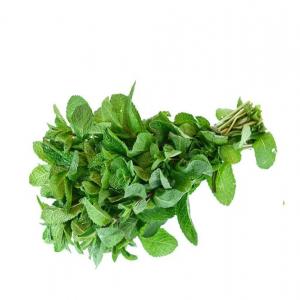  Productivité D'herbes Aromatique - fruits et légumes je produit et vends des herbes aromatique (menthe persil coriandre).--vendu en bottes ou en vrac.--nous sommes producteurs dans les bouches-du-rhône.--possibilité d'expédier dans toute l'europe (voir transport)