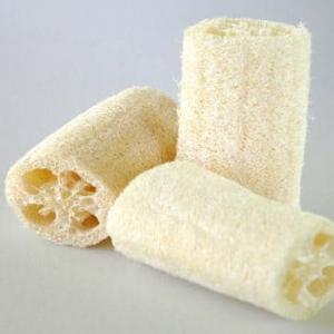 Éponge de luffa et graines de luffa - matiere vegetale nous recherchons des acquéreurs de fibres de luffa (éponges de luffa) . disponible de la poudre de fibre de luffa utilisé dans le cosmétique.nous joindre pour renseignements et achat.
