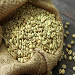  Robusta Coffee/arabica Green Coffee Beans - coffee cocoa tea product type-----arabica/robusta coffee bean grade a----variety- arabica/robusta----we ,  ight (kg)-----50/60kg/jute bag 20ft container- 19.5tons or 22tons(bulk packing)----max. moisture (%)- 12% max----additional ingredient-0.5%max----rate of defect- 7.0%max----cultivation type-common----flavor -mel