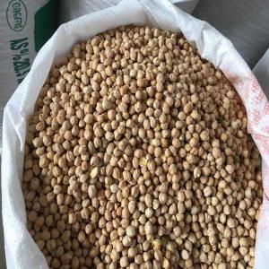  Natural 7mm, 8mm, 9mm Chickpeas For Sale - other we are direct supplier of top quality chickpeas and we ship world wide .----our shipments are fast to avoid any delay in business. we are looking for--buyers to establish a long term business relationship----we can supply all sizes of chickpeas----specifications---appearance- chickpea grains--sizes-