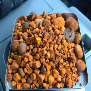  Quality Grade Ox Gallstones For Sale - other x-gallstones. good quality means stones should be golden brown in color, --whole and very well dried so that molds should not set in. 2/3 broken--stones and 1/3 powder.contact for details----ox gallstones cattle gallstones cow gallstones--100% whole stones--90% whole stones / 10% broken----specificat