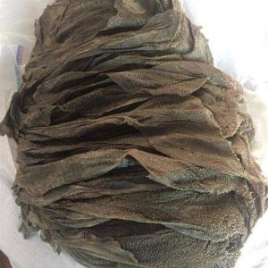  100% Frozen Dry Salted Beef Omasum For Sale - meat and eggs we are completely offering our rich in quality range of buffalo--omasumproducts at the most reasonable rates. this buffalo meat is given by--our team members under the hygienic working conditions. along with that we--only use the modern technology while processing and preservation of this--meat for 