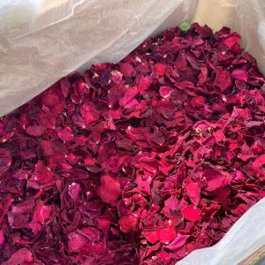  Producteur De Roses Grade Alimentaire - horticulture plante biocarburant nous sommes producteurs de roses double crimson glory et autres vari&eacute;t&eacute;s en grades cosm&eacute;tique ou alimentaire conformes aux exigences europ&eacute;ennes pour application directe usage culinaire divers p&acirc;tisserie infusion extraction fleurs s&eacute;ch&eacute;es pr&ea