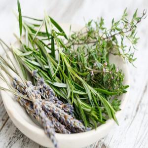  Grossiste Romarin, Thym - matiere vegetale bonjour , -- grossiste de romarin ,  thym frais au tunisie ,  nous cherchons des clients pret &agrave; acheter en grande quantit&eacute; nos produits de la saison.