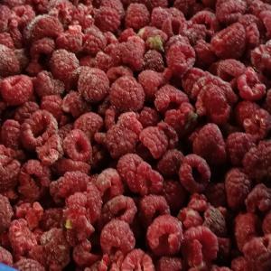  Framboises Congelées Iqf - fruits et légumes notre soci&eacute;t&eacute; chilienne offre des framboises congel&eacute;es iqf en provenance du sud du chili (7 et 9 r&eacute;gion).--certificats brc.--nous disposons aussi de m&ucirc;res et myrtilles congel&eacute;es iqf.--n'h&eacute;sitez pas &agrave; nous contacter pour plus de renseignements.