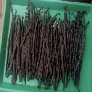  Fournisseur Gousses De Vanille - épices aromates gousses de vanille de très bonne qualité et notre système d'expédition est fiable,  plusieurs tonnes sont disponibles chaque année,  donc il n'y aura pas de problème pour vous approvisionner. les expéditions sont fait via dhl. très aromatique,  so