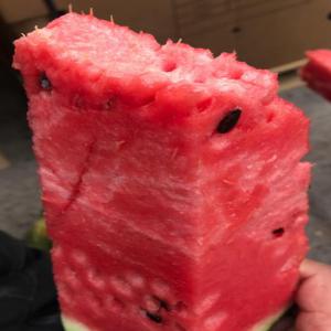  Pastéque Marocaine - fruits et légumes  la saison des past&egrave;ques rouges marocaines approche. vous pouvez d&egrave;s maintenant vous renseigner et r&eacute;server votre commande. 