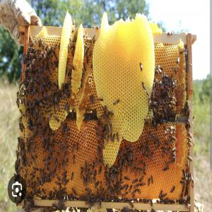  Cir D'abeilles - autres je recherche de la cire d'abeille d'abeille organic certifiée cosmos (non alimentaire) 10/12t,  cif europe,  origine afrique 