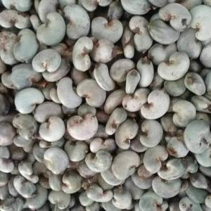 Produits Agricoles - fruits et légumes nous sommes une soci&eacute;t&eacute; sp&eacute;cialis&eacute; dans la commercialisation d'ananas de mangues de piments de noix de coco de caoutchouc de noix de cajou de l'afrique de l'ouest et de vanille de madagascar. s&eacute;same soja. nous pouvons vous fournir les quantit&eacute;s souh