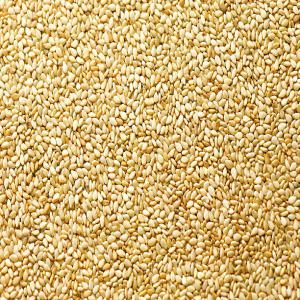  Graines De Sesame Du Nigeria - semence graine plant bonjour,  ----nous sommes une soci&eacute;t&eacute; sp&eacute;cialis&eacute;e dans la commercialisation de graines de s&eacute;same (origine nig&eacute;ria et niger).--nous pouvons vous fournir les quantit&eacute;s souhait&eacute;es,  d une qualit&eacute; irr&eacute;prochable &agrave; des tarifs tr&eg