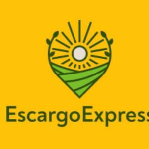  Nous Recherchons Un Acheteur D'escargots En Gros - coquillage crustacé nous avons récemment élargi notre activité,  nous propose nos escargots helix aspersa maxima élevés en ukraine en gros. notre ferme d'escargots située dans la magnifique compagne ukrainienne que permet nos escargots élevés dans des conditions op