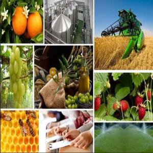  Bureau D'études De Projets - Investissement capitaux notre bureau d'études de projets basé en tunisie ,  spécialisé dans le conseil et les études des projets agricoles,  agro-industriels et environnementales.--on vous accompagne tout au long de vos processus d’investissements ,  en amont par l’élaboration d’&eacu