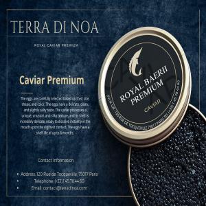  Caviar Baerii - poissons  bienvenue dans le monde du raffinement gastronomique !--plongez dans l'opulence avec notre caviar baeri d'exception ! --vous recherchez une expérience culinaire incomparable ? notre caviar baeri,  élevé avec soin et délicatesse,  circuit ouvert -- origine - espagne-- quali