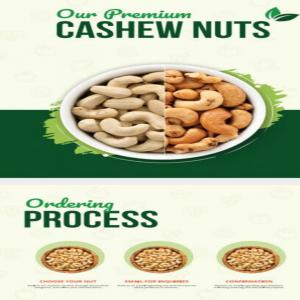  Cajou Haute Qualité Du Vietnam - fruits secs et graines grillées on est partenaire d'un producteur de cajou au vietnam avec haute qualit&eacute; et on cherche des distributeurs au maroc. 