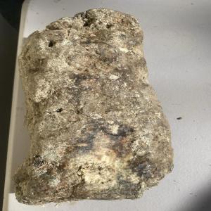  Vente De Ambre Grise - autres j ai en ma possession plusieurs centaines de kilos de ambre gris (vomi de baleines) les personnes int&eacute;ress&eacute;es peuvent me contacter par courriel pour plus d'informations. 