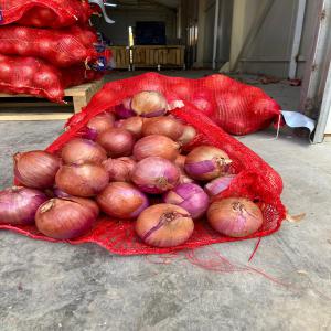  Onion - fruits and vegetables red ,  yellow and white onion  available to export.in bag 20 or 25 kg please contact about all information